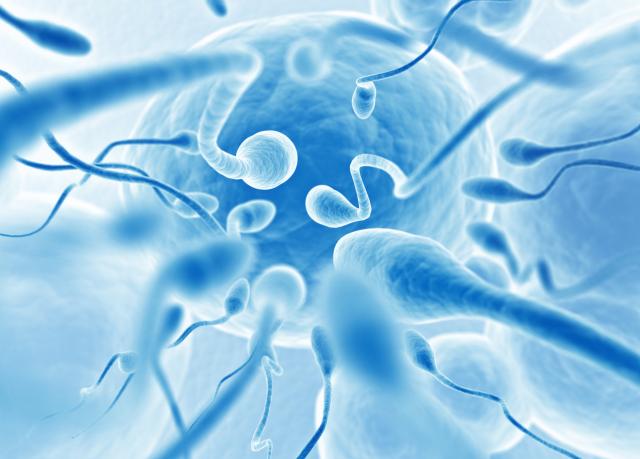 Mobilni ošteæuje spermatozoide?
